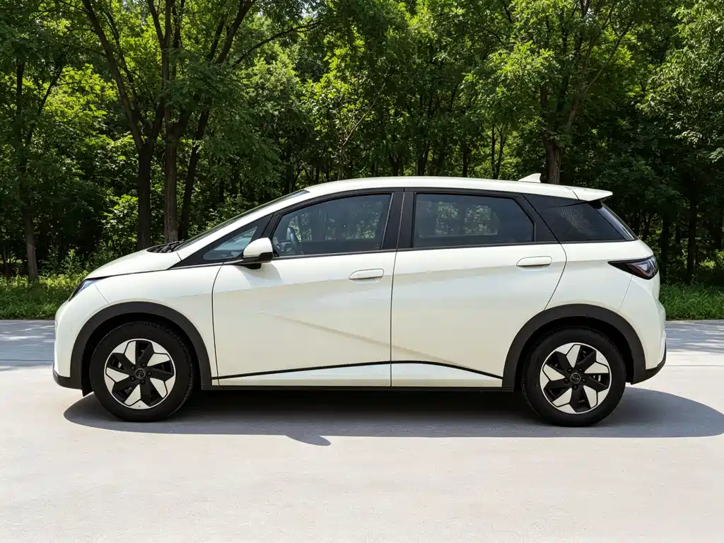BYD Dolphin 2025