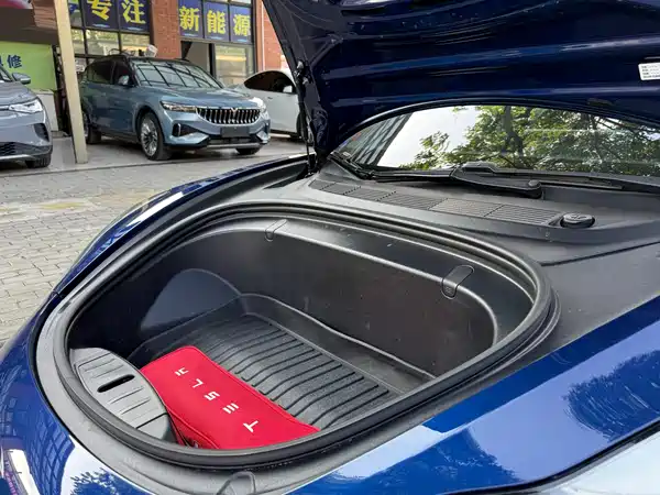 Tesla Model 3 2019