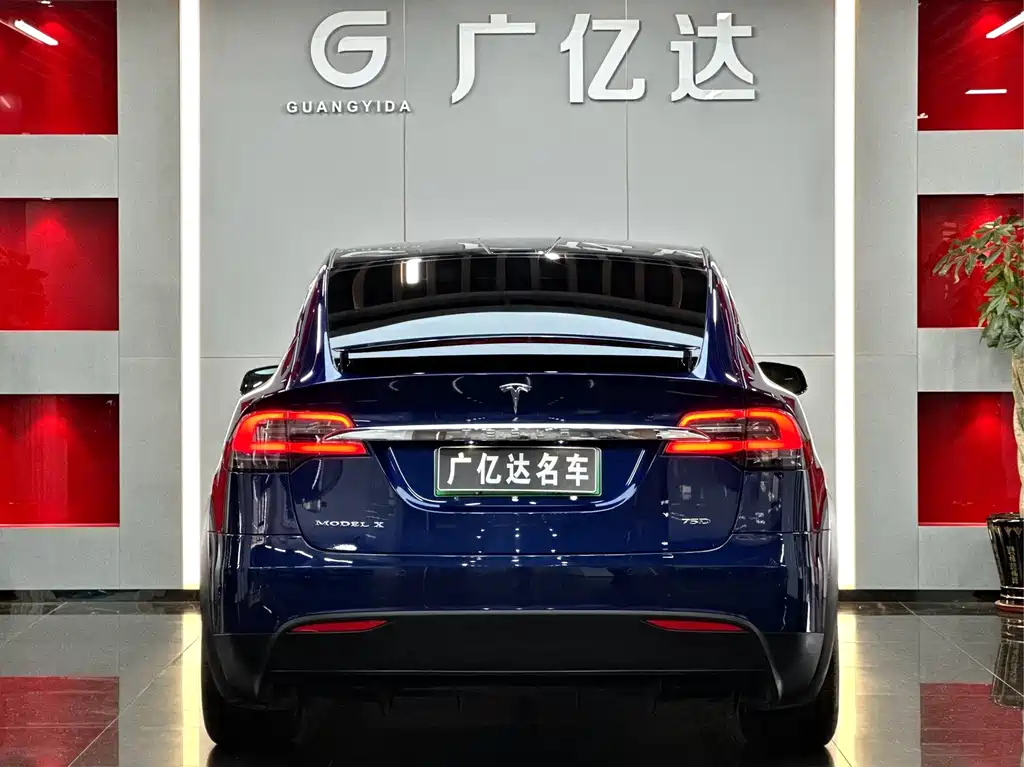 Tesla Model X 2019 — фото 24