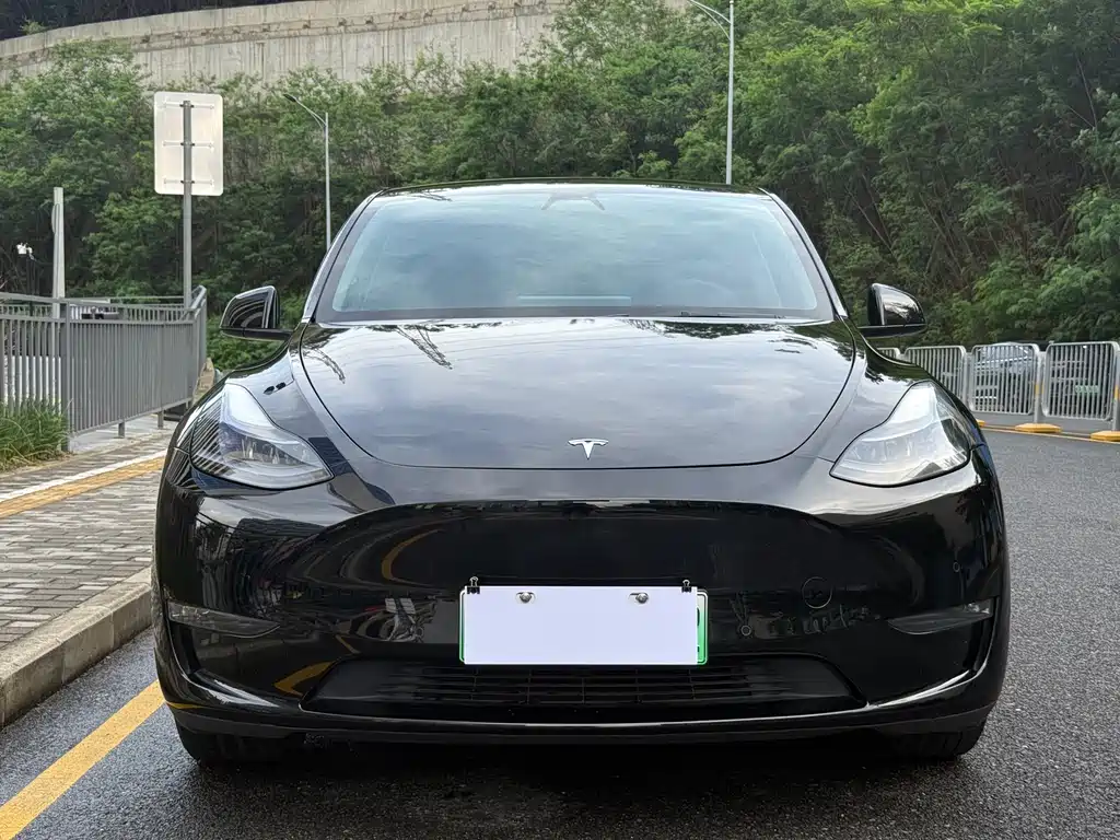 Tesla Model Y 2021 — фото 2