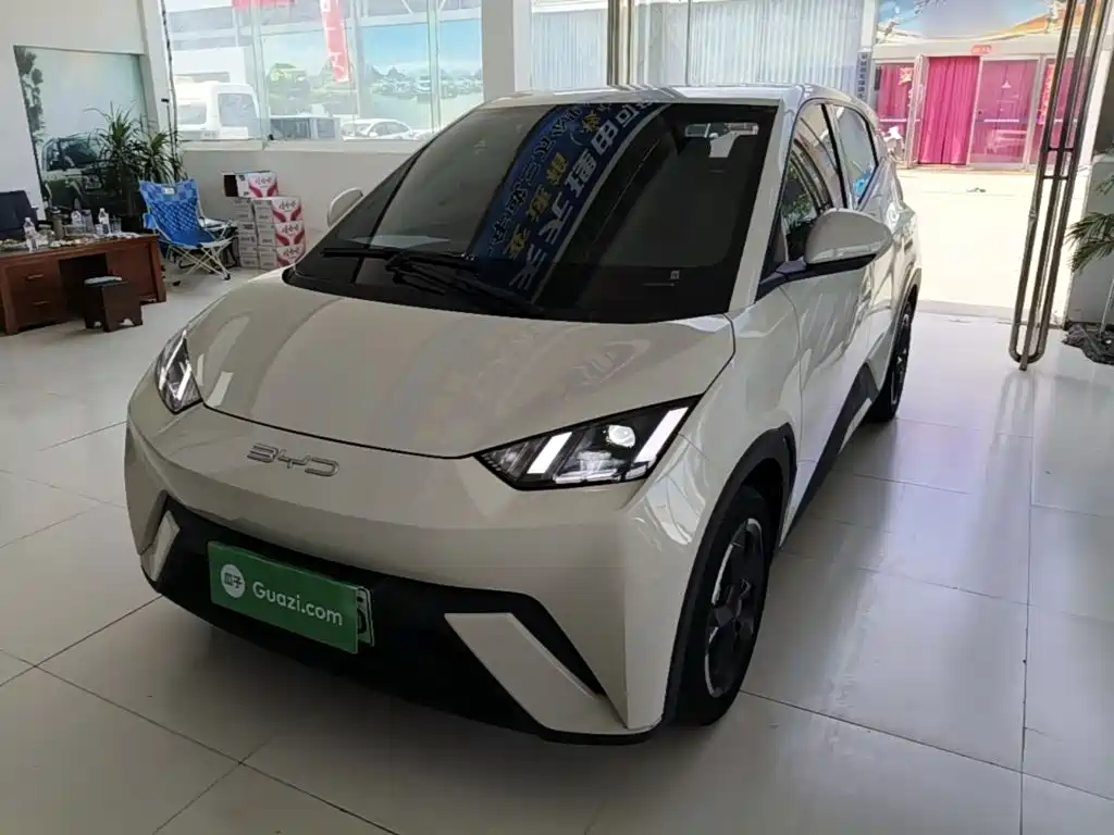BYD Seagull 2024