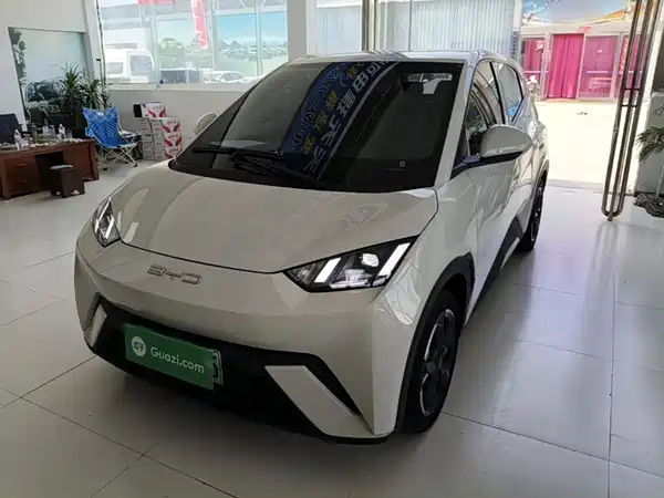 BYD Seagull 2024