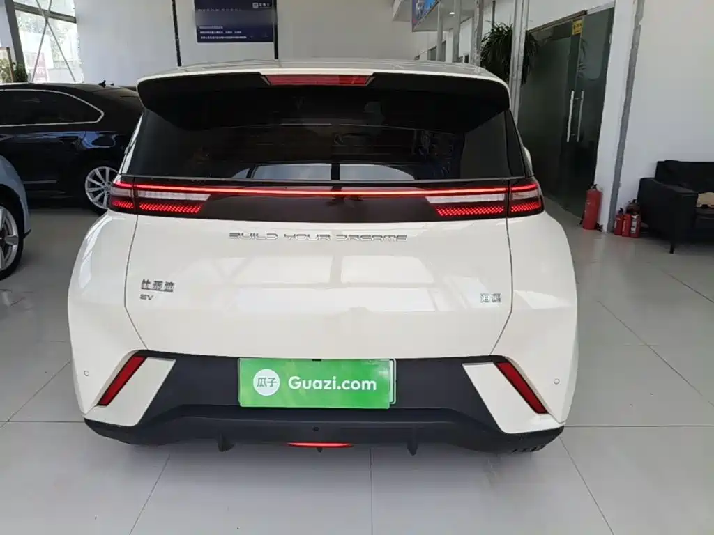 BYD Seagull 2024