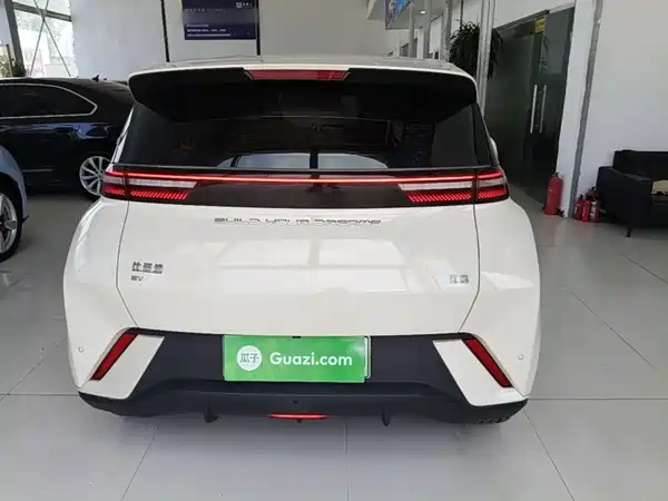 BYD Seagull 2024