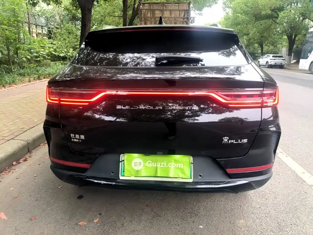 BYD PLUS New Energy 2022 — фото 4