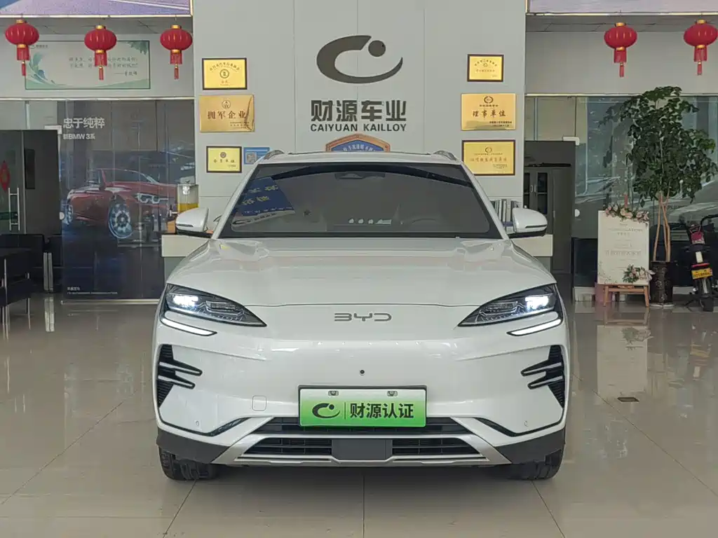 BYD PLUS New Energy 2025 — фото 2