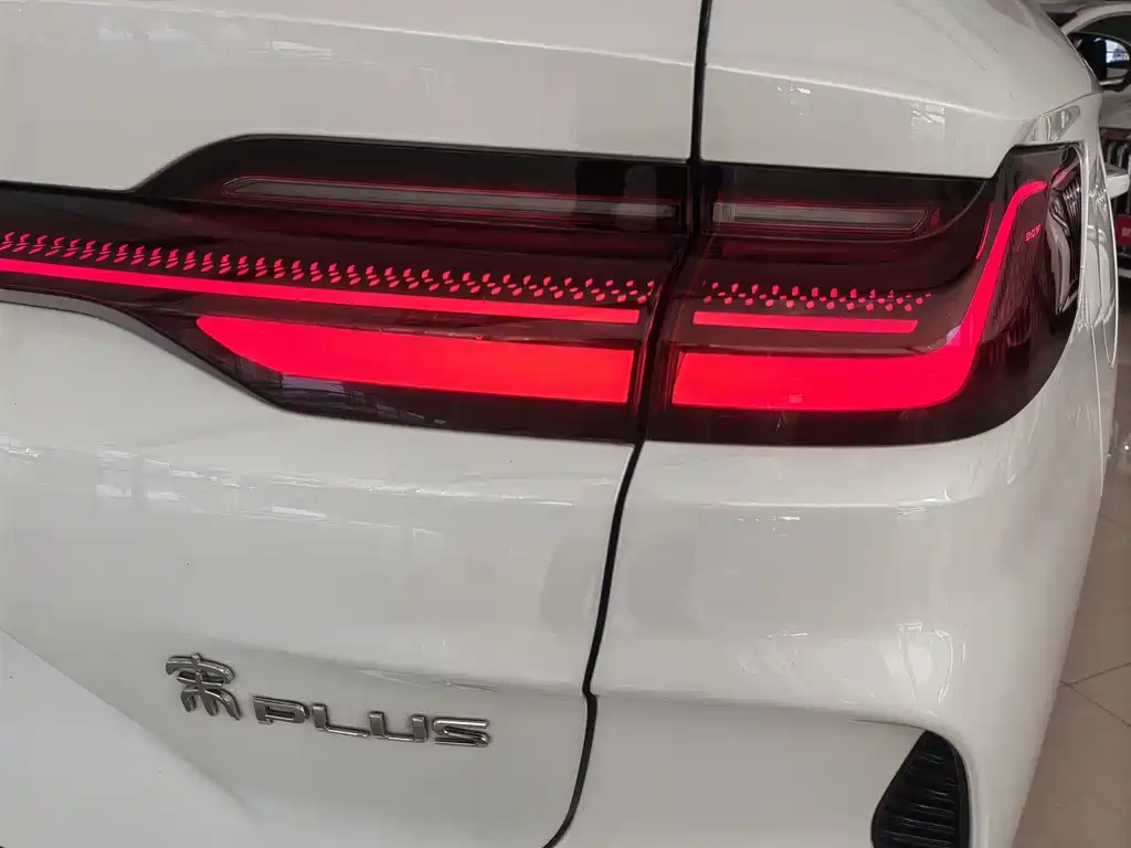 BYD PLUS New Energy 2025 — фото 13