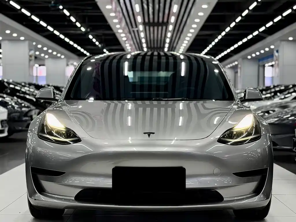 Tesla Model 3 2021 — фото 2