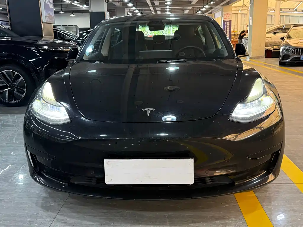 Tesla Model 3 2021 — фото 2