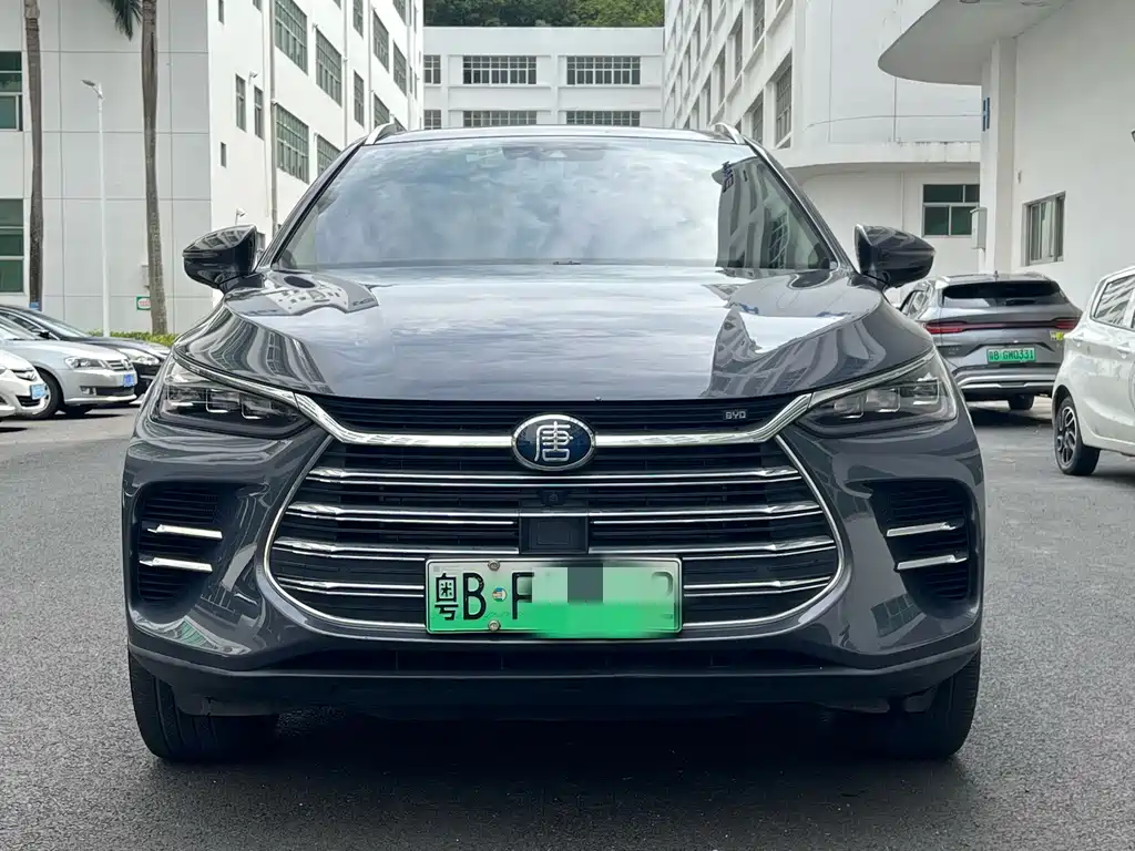 BYD Tang New Energy 2019 — фото 3
