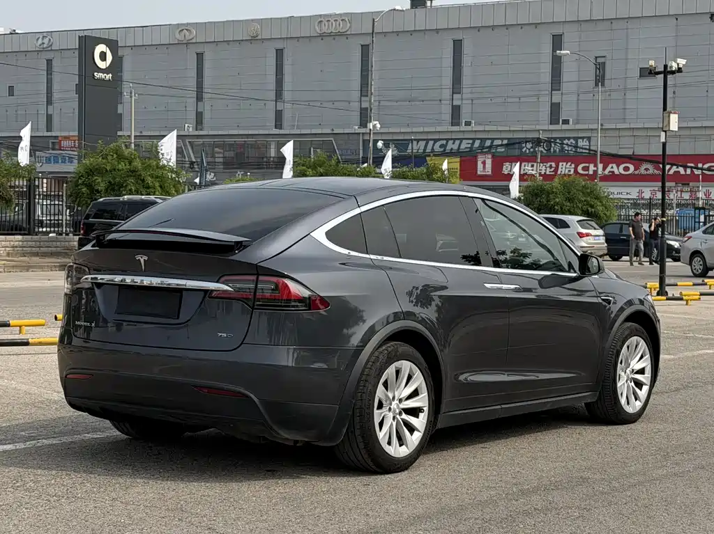 Tesla Model X 2017 — фото 4