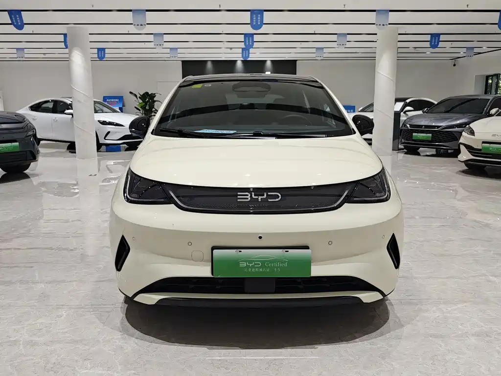 BYD Dolphin 2025