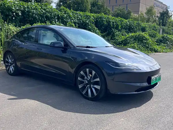 Tesla Model 3 2025