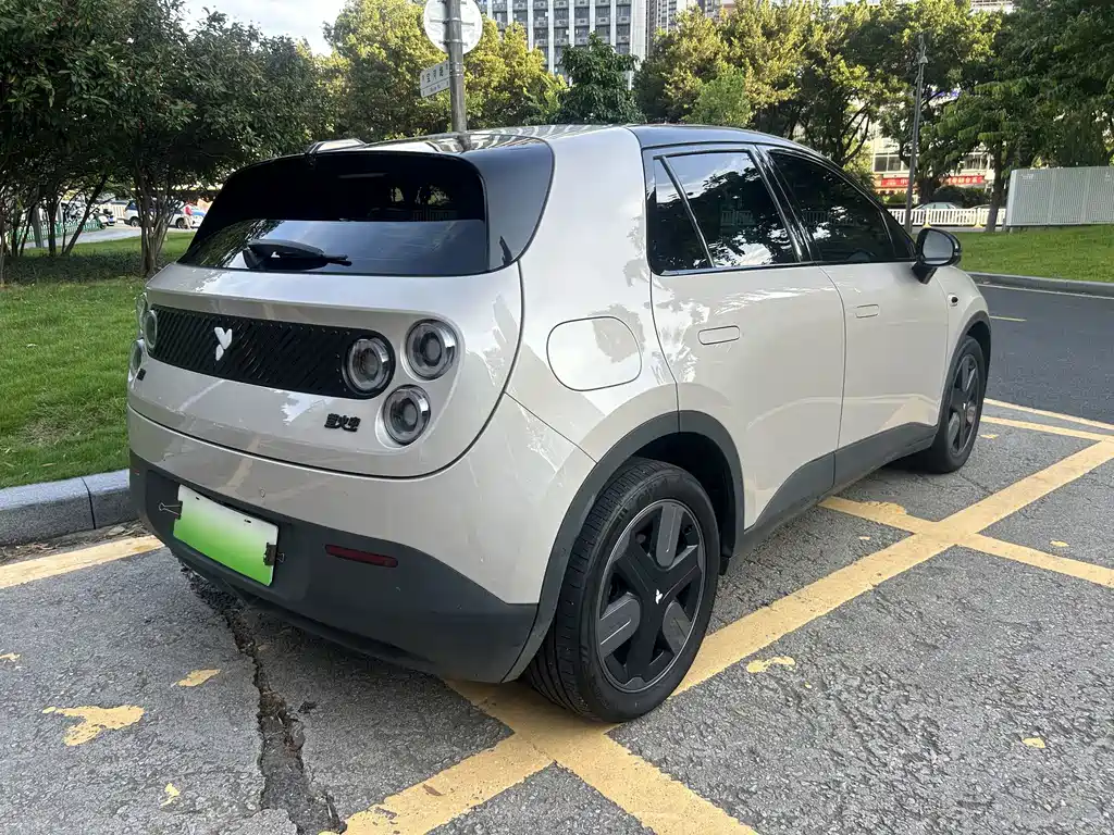 Firefly firefly 2025