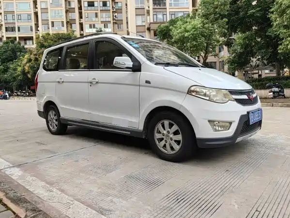 Wuling Hongguang 2014