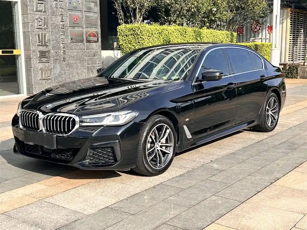BMW 5 Series New Energy 2021 — фото 1
