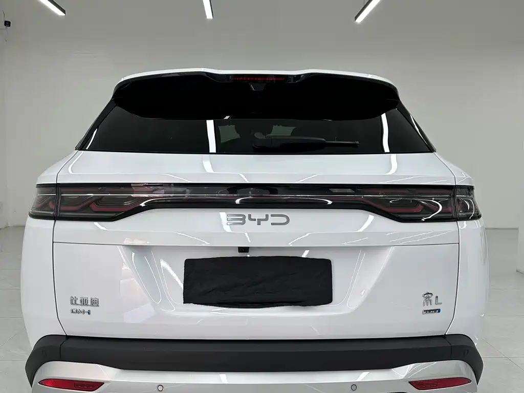 BYD L DM-i 2025 — фото 5