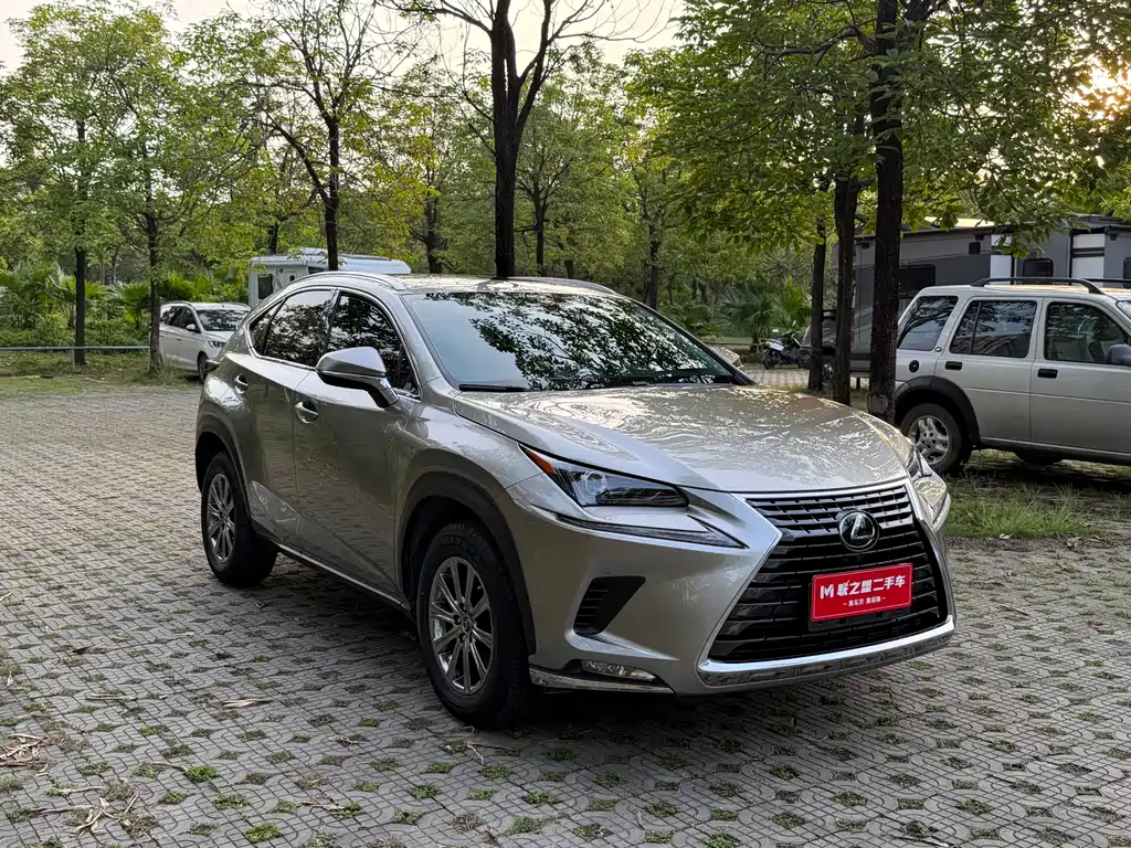 Lexus NX 2021 — фото 8