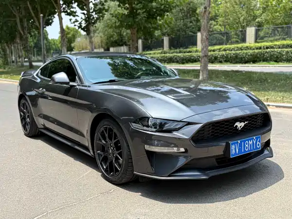 Ford Mustang 2019