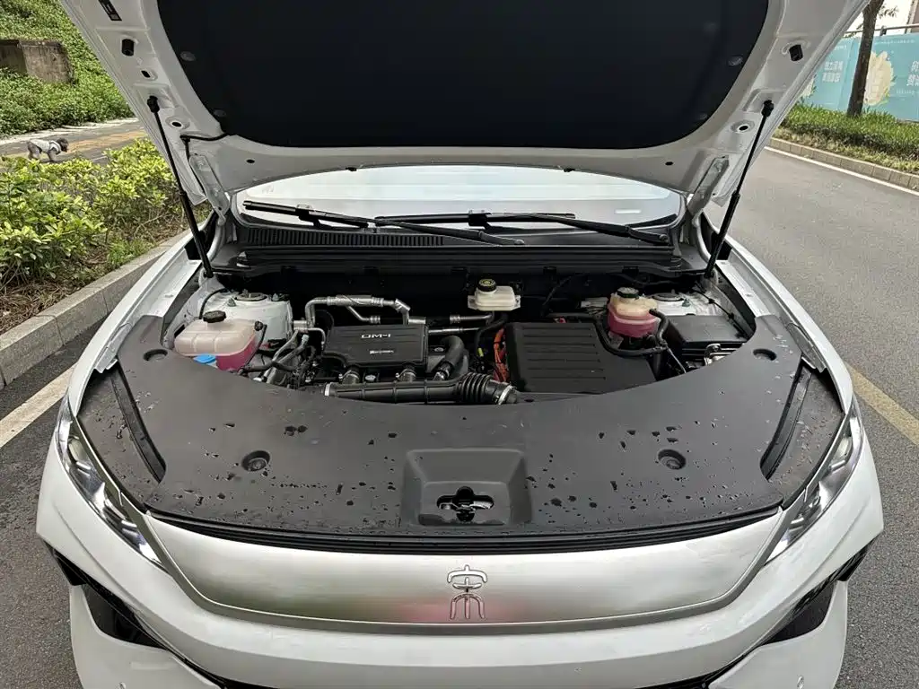 BYD Pro New Energy 2025 — фото 10