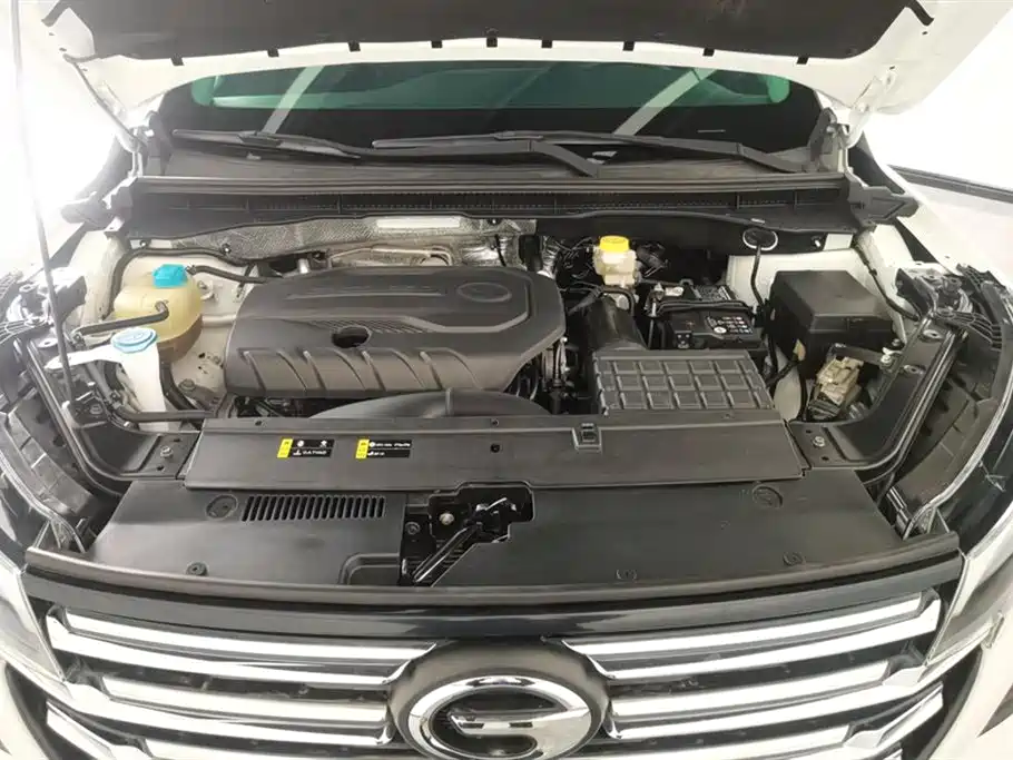 GAC Motor Trumpchi GS4 2021 — фото 10