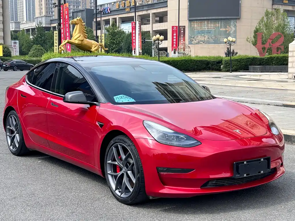 Tesla Model 3 2021 — фото 3