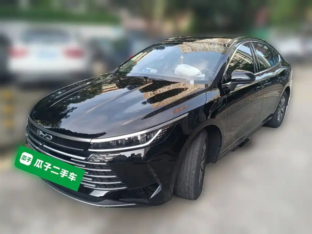 BYD Destroyer 05 2024