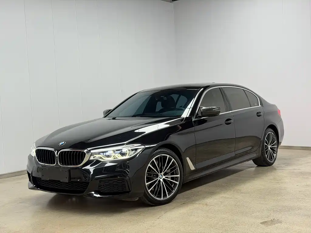 BMW 5 Series 2019 — фото 8
