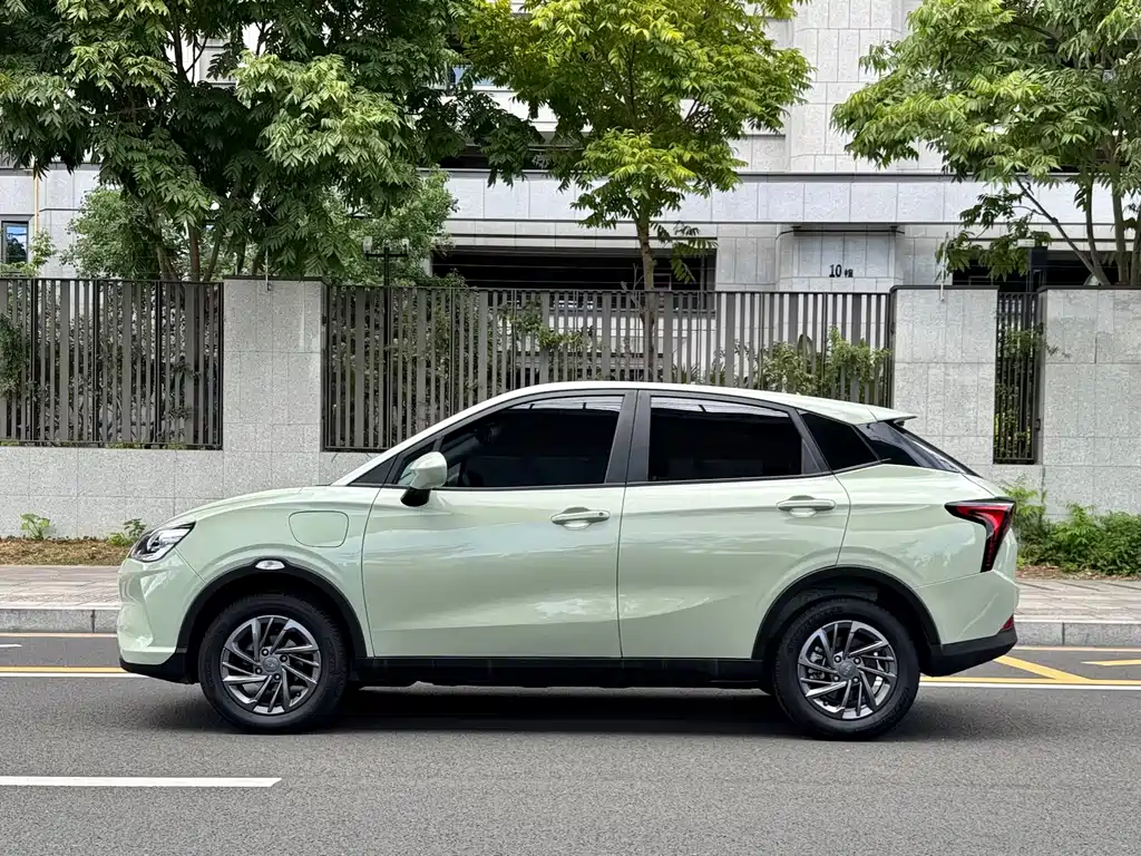Neta V 2021