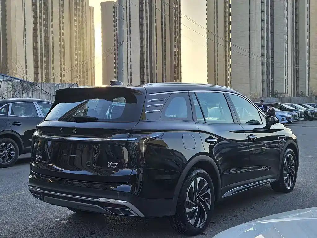 Hongqi HS7 PHEV 2024 — фото 10