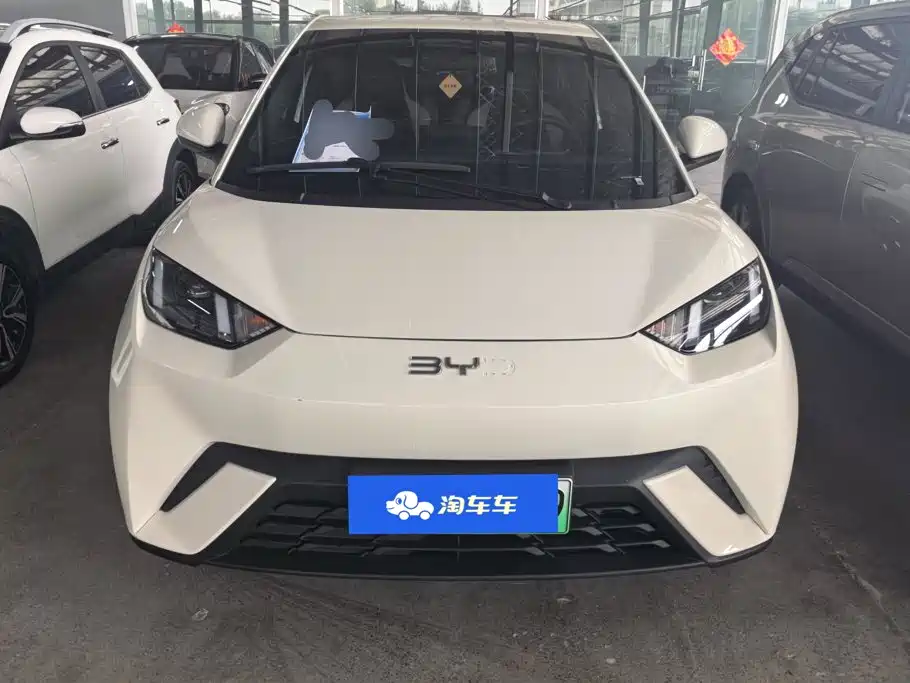 BYD Seagull 2024