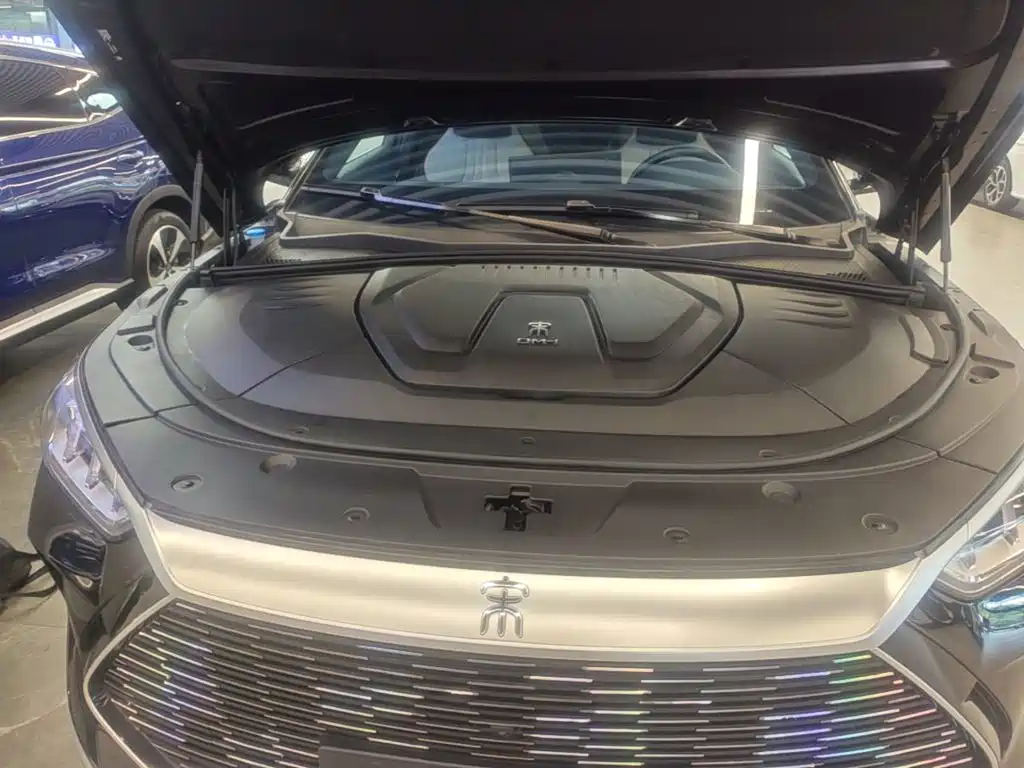 BYD Song PLUS New Energy 2022 — фото 20