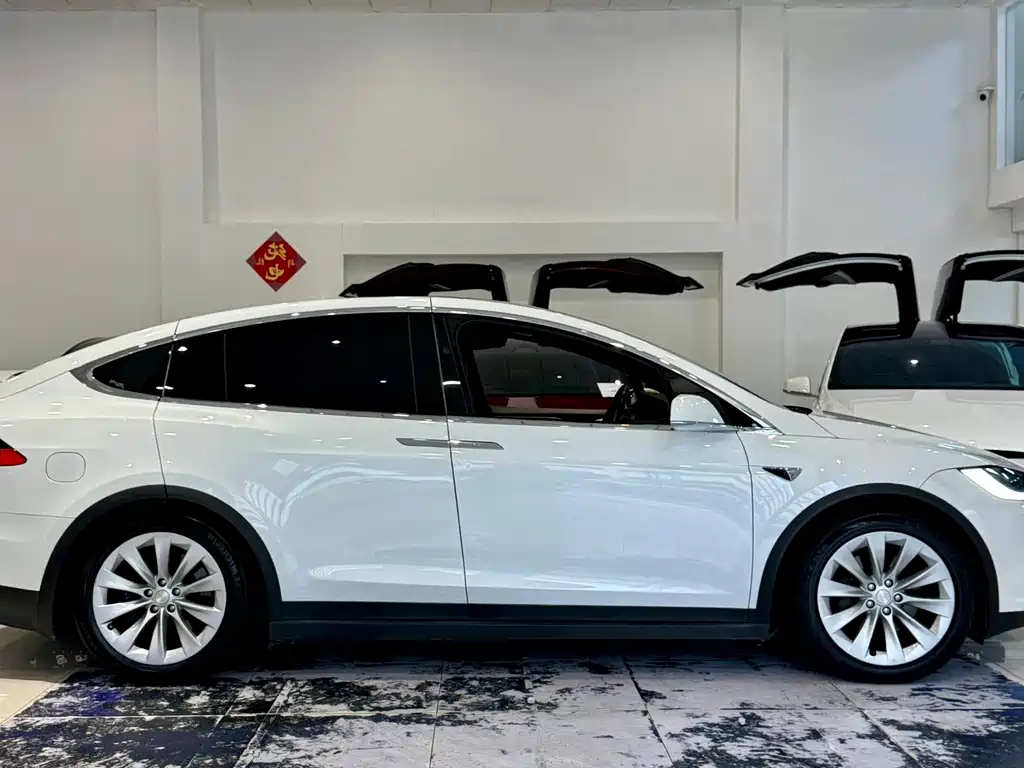 Tesla Model X 2018 — фото 10