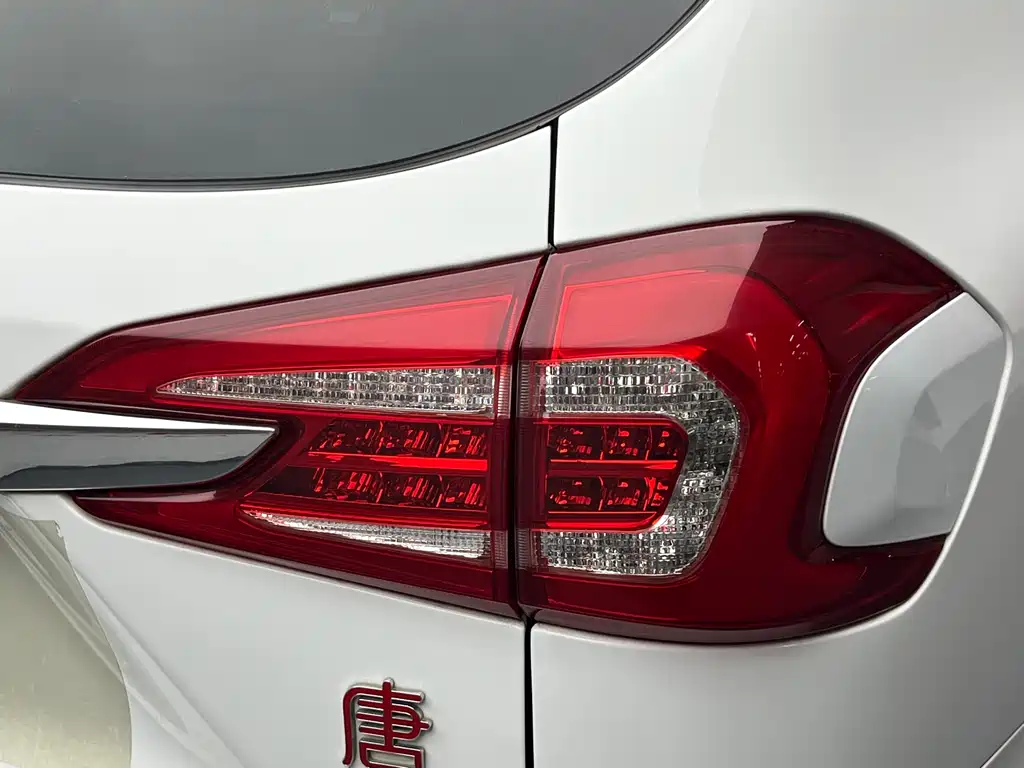 BYD Tang New Energy 2016 — фото 21