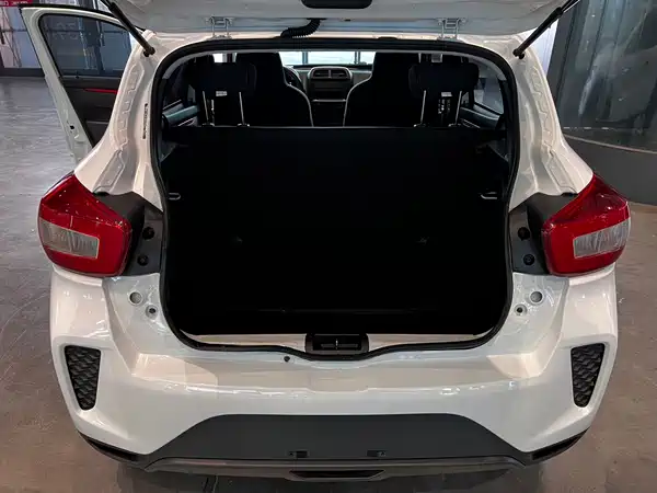Dongfeng Nano EX1 2024