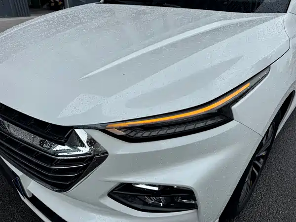 Wuling Victory 2021
