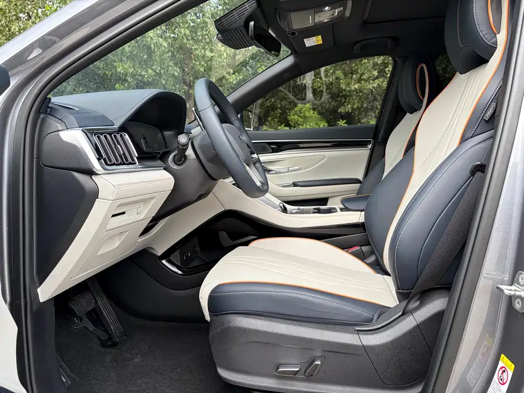 BYD Song PLUS New Energy 2024 — фото 11