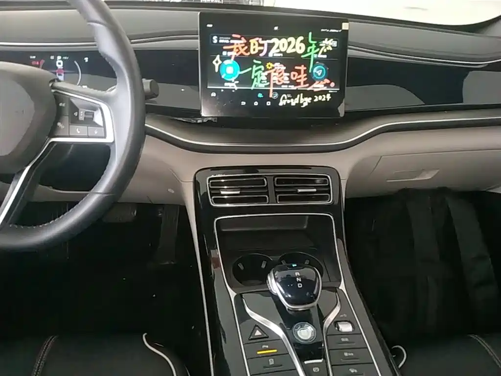 BYD Qin PLUS 2022 — фото 13