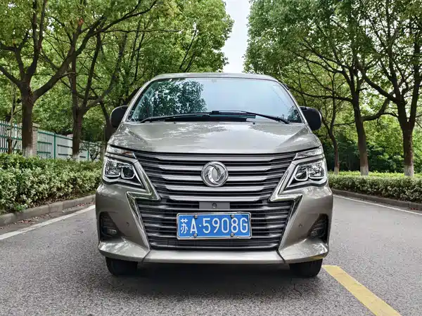 Dongfeng Lingzhi 2021