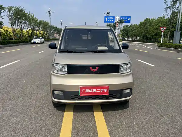 Wuling Hongguang MINIEV 2021