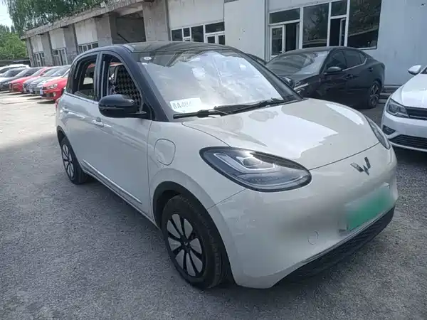 Wuling Bingo 2024