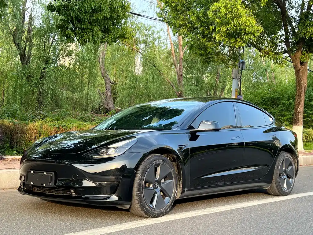 Tesla Model 3 2021 — фото 1