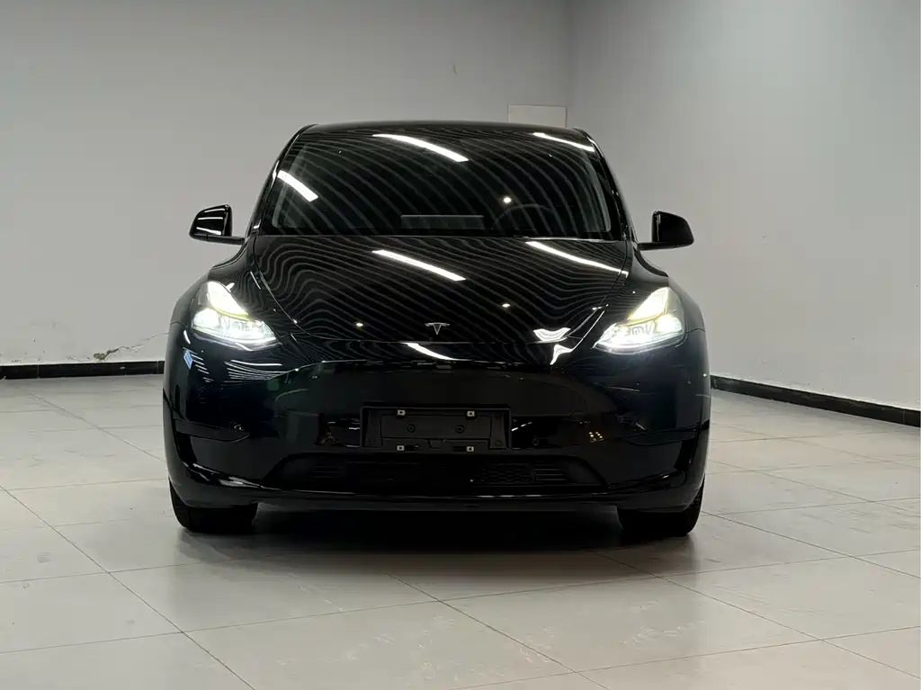 Tesla Model Y 2023 — фото 2