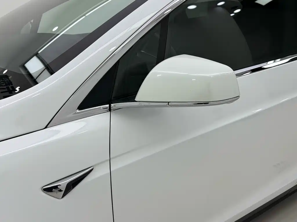 Tesla Model X 2018 — фото 18