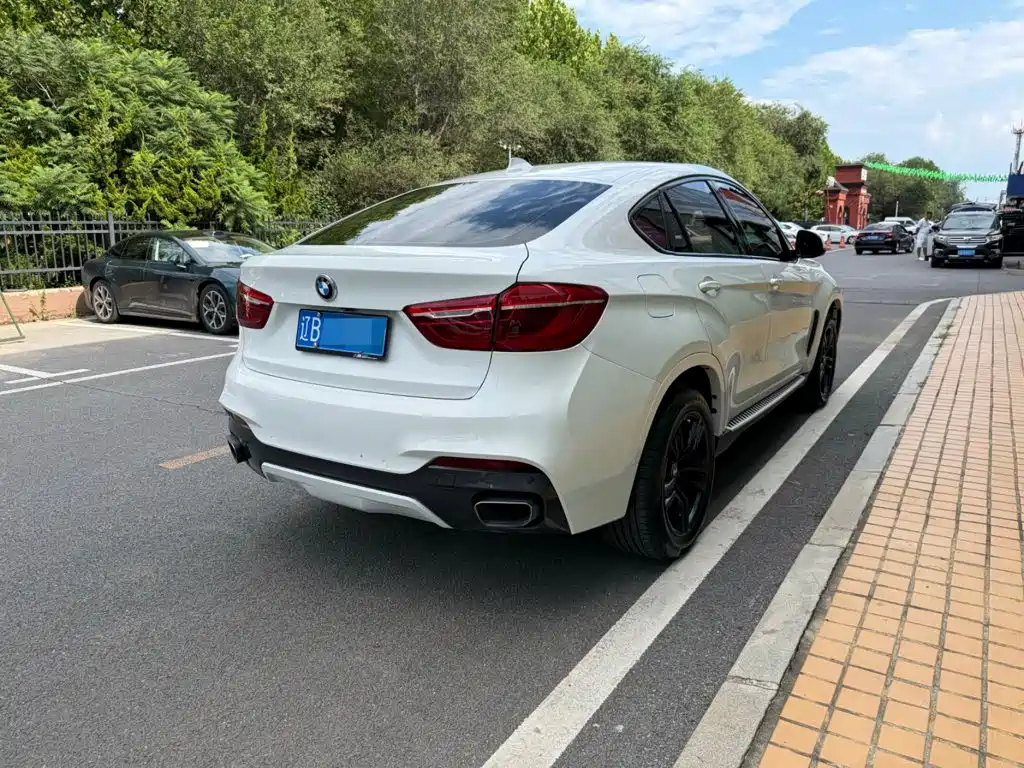 BMW X6 2017 — фото 14