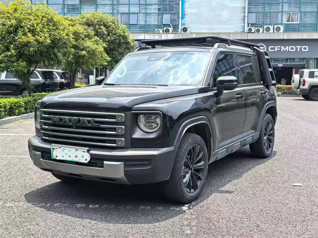 Haval Menglong New Energy 2024