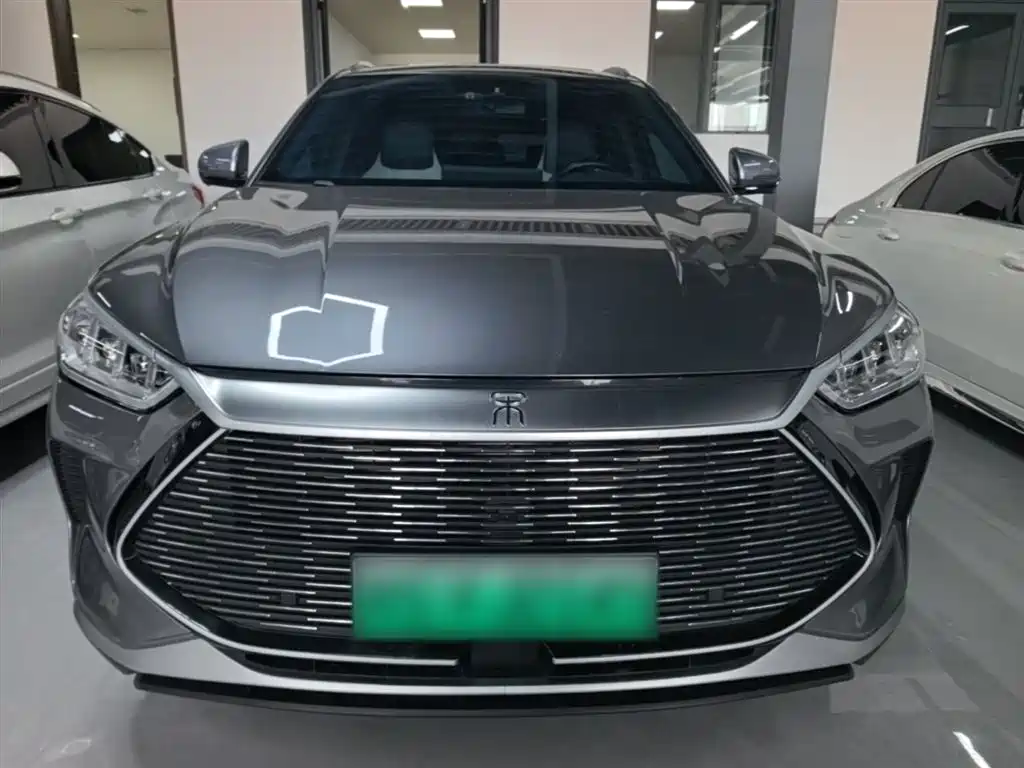 BYD PLUS New Energy 2023 — фото 3