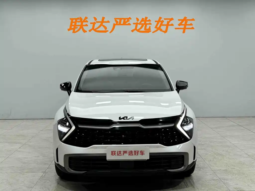 Kia Lion Platinum Expands The Boundary 2026 — фото 21
