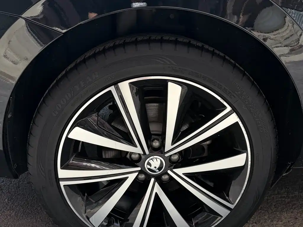 Skoda Speedy 2023 — фото 19