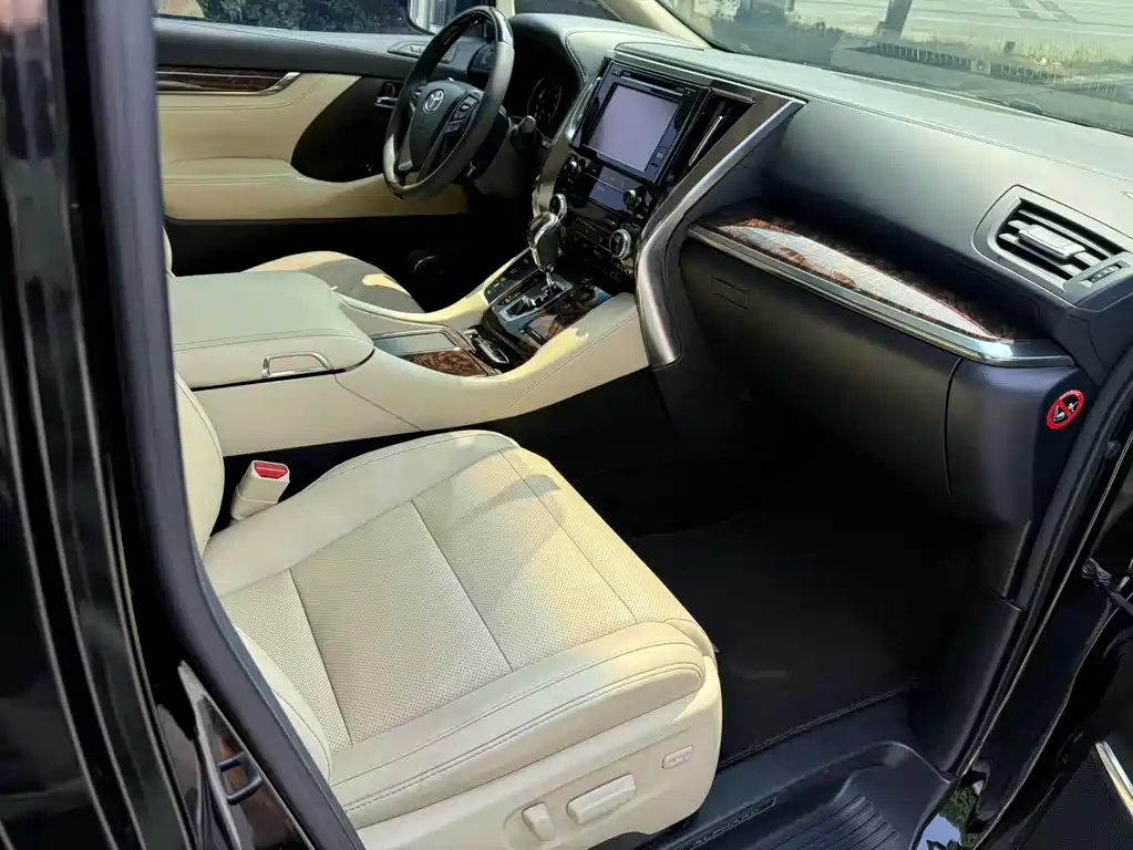 Toyota Alphard 2019 — фото 11